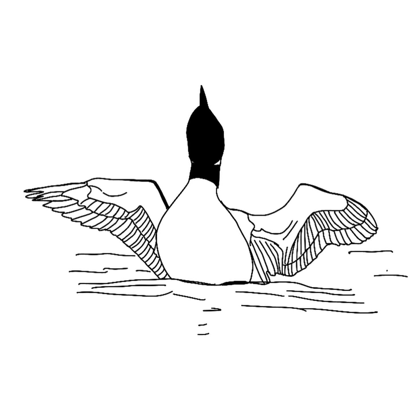 Simple line drawing