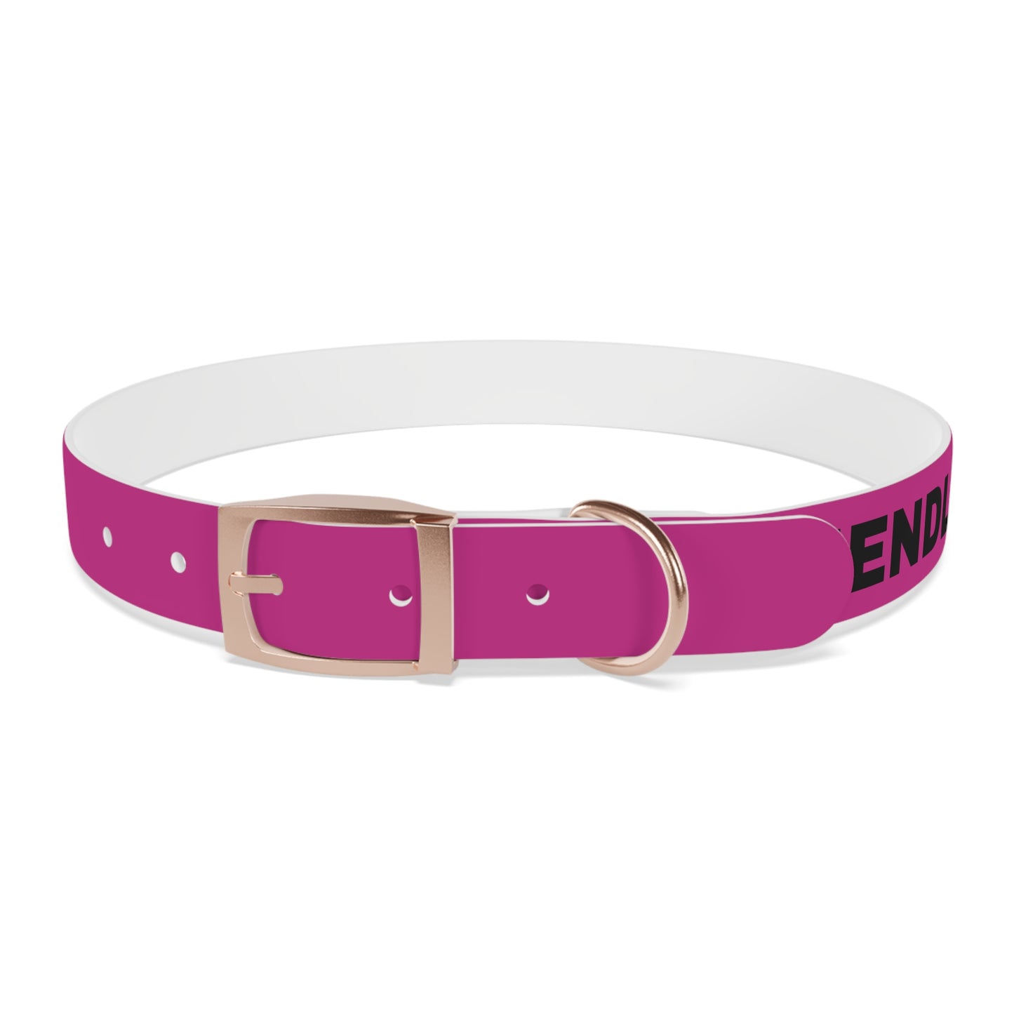 I’m friendly Dog Collar