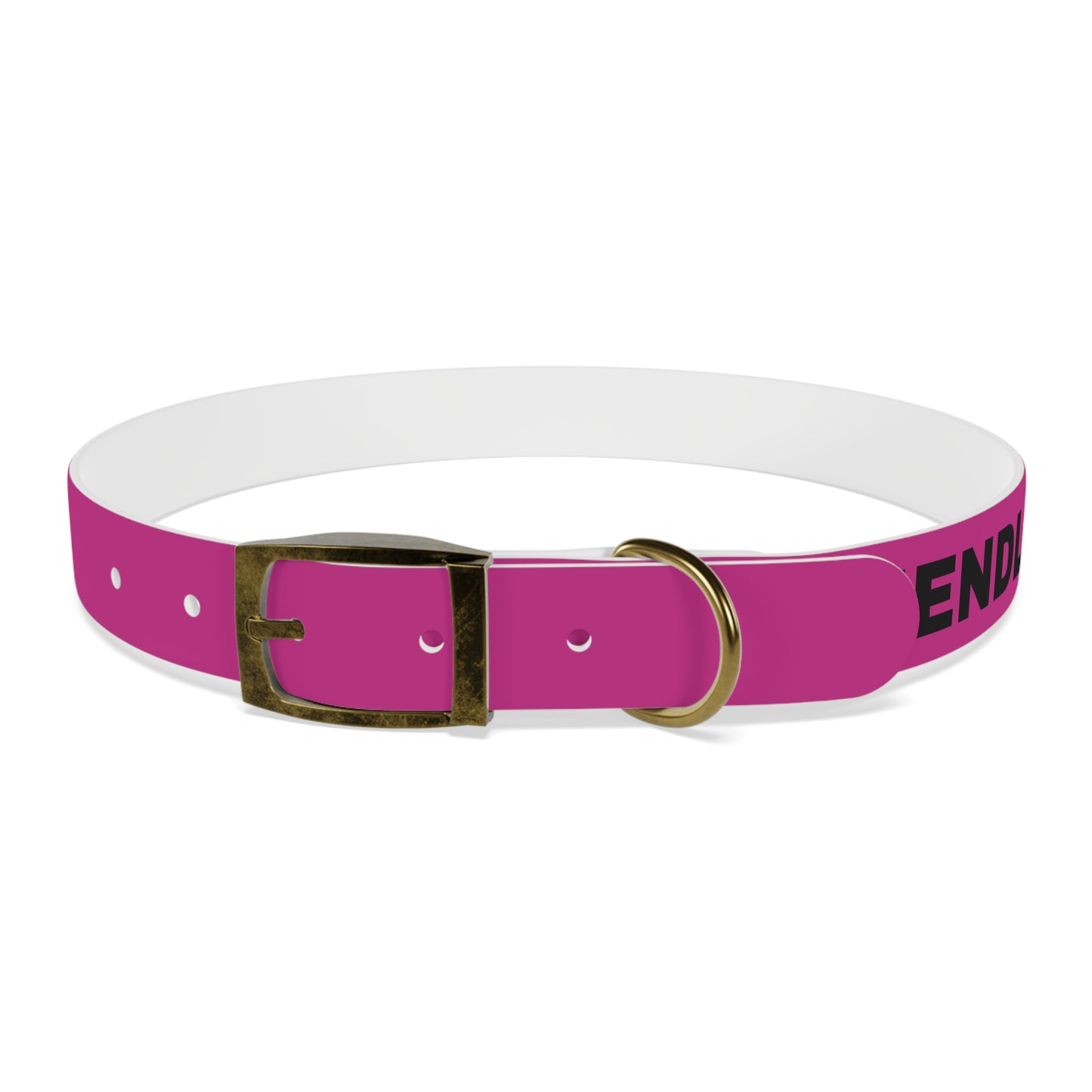 I’m friendly Dog Collar