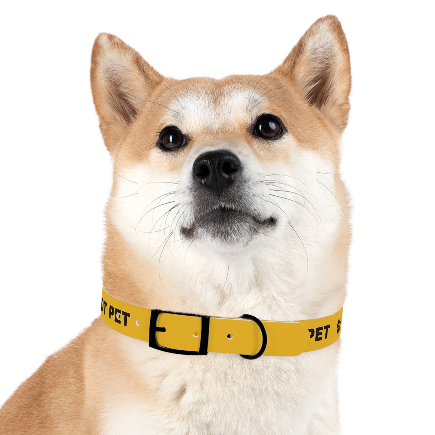 Yellow Do not pet Dog Collar