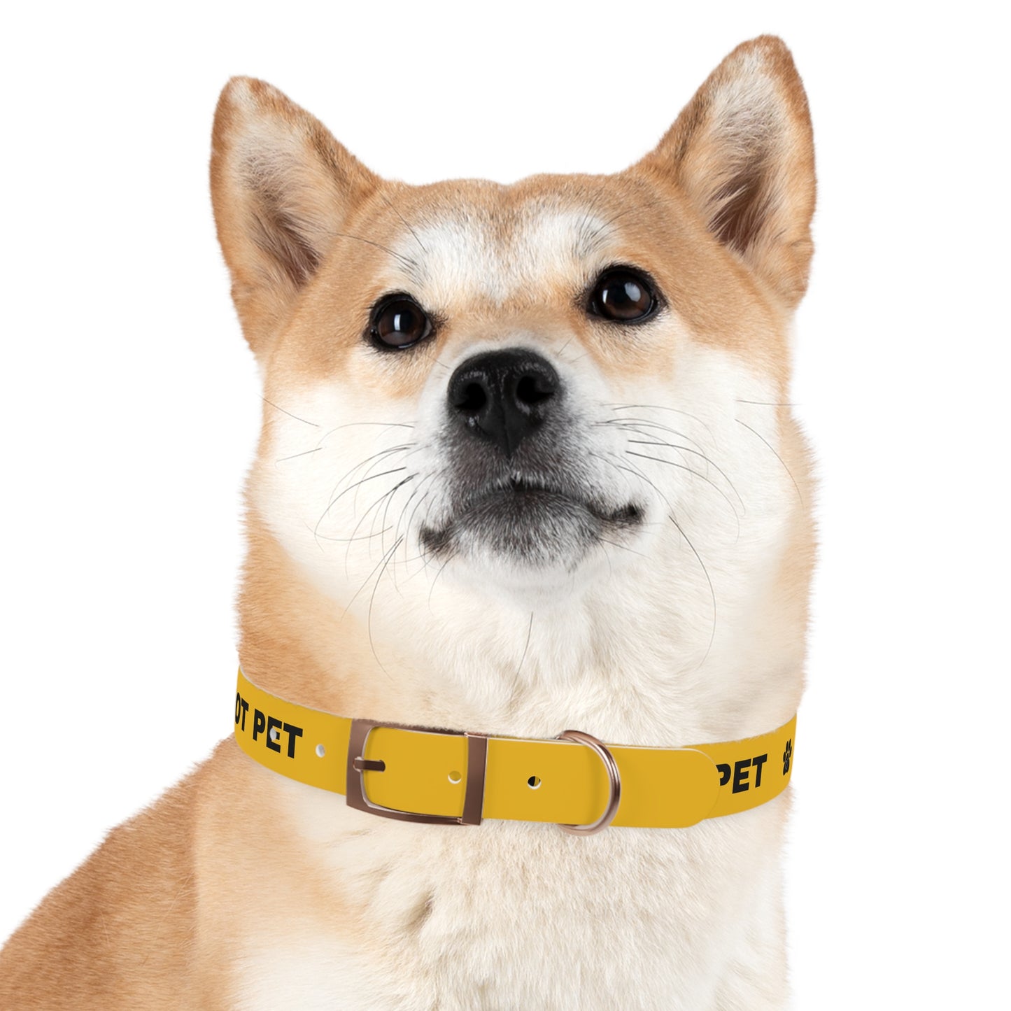 Yellow Do not pet Dog Collar