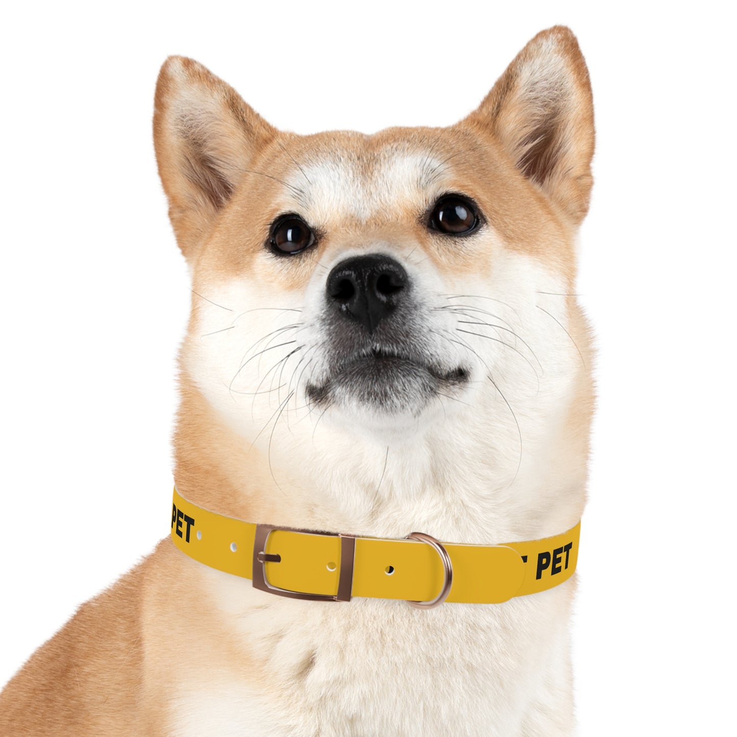 Yellow Do not pet Dog Collar