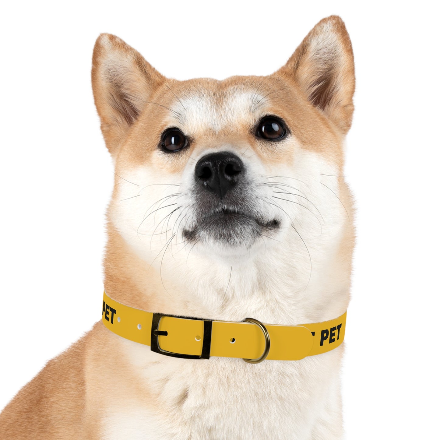 Yellow Do not pet Dog Collar