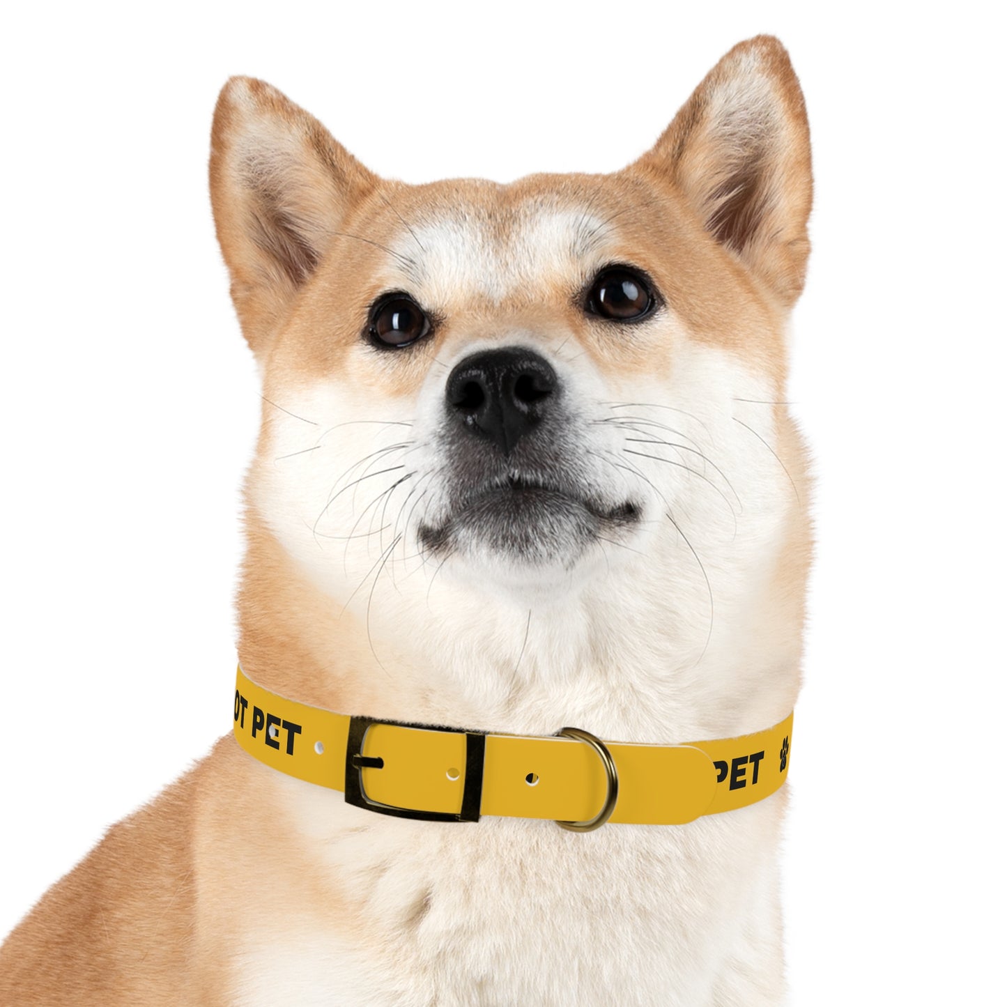 Yellow Do not pet Dog Collar