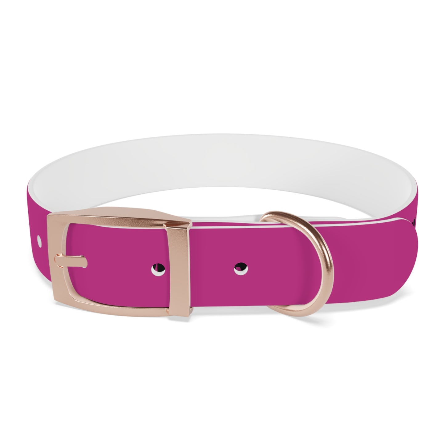 I’m friendly Dog Collar